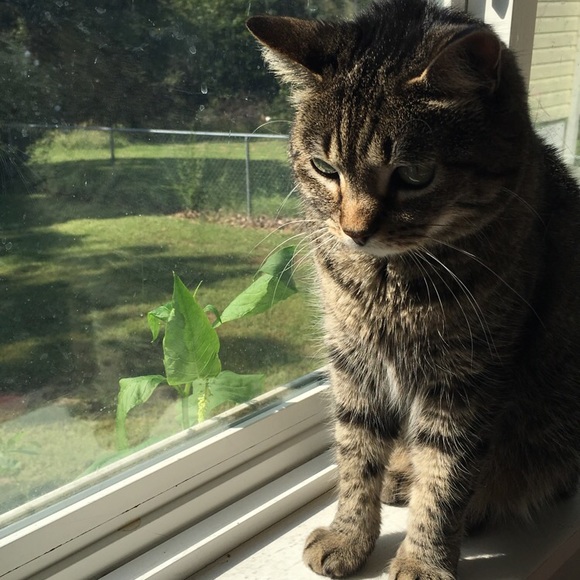 Meet your Posher, Kylie - Picture 2 of 2